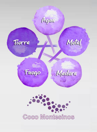 Contacte con Nosotros